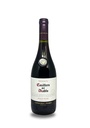 Vinho Chileno Casillero del Diablo Pinot Noir 750ml